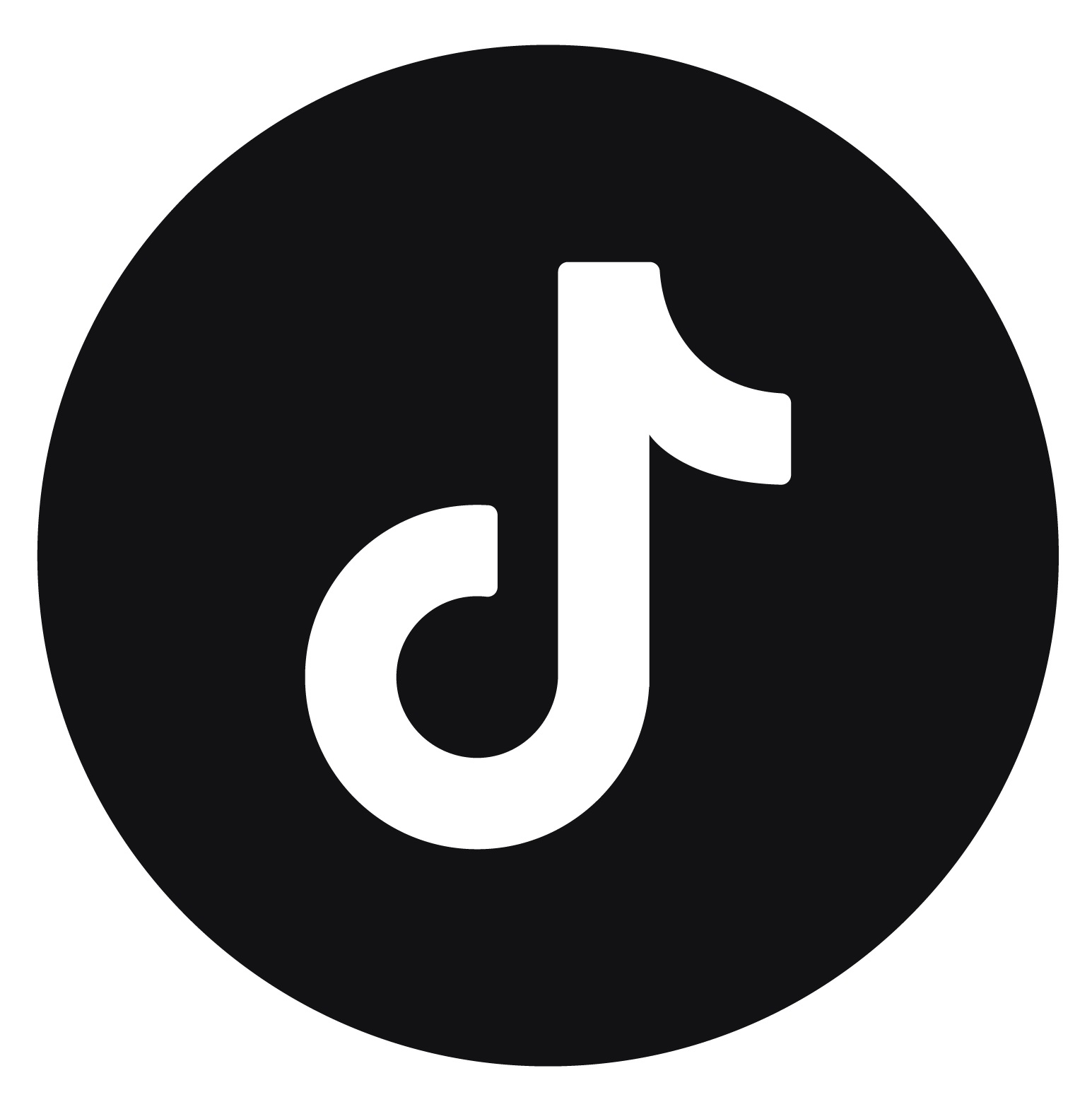 tiktok logo